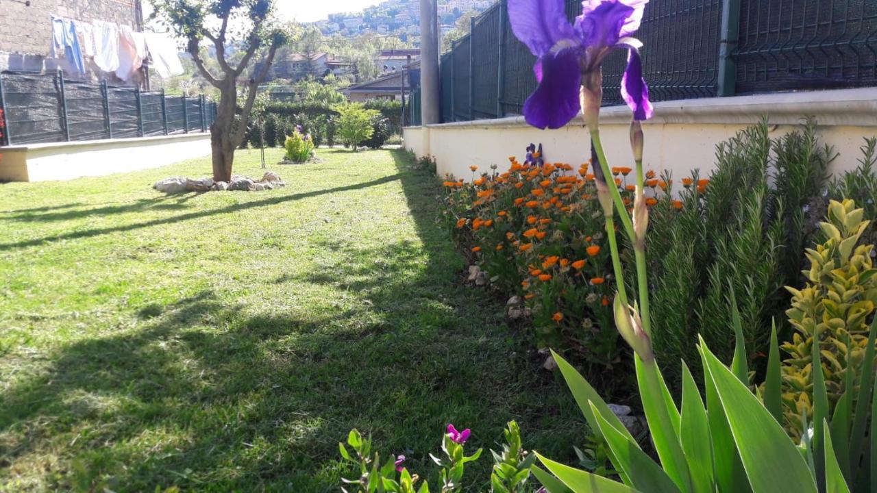 La Casina Gialla Villa Veroli Eksteriør billede